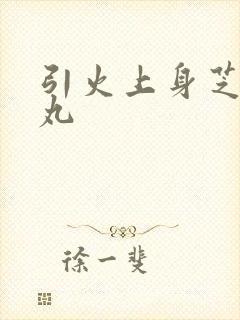 引火上身芝麻糖丸