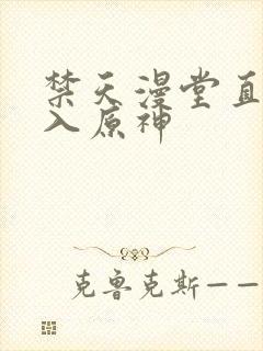 禁天漫堂直接进入原神