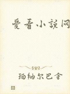 爱看小说网