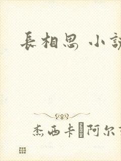 长相思 小说