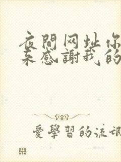 夜间网址你会回来感谢我的