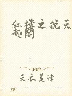 红楼之挽天倾笔趣阁