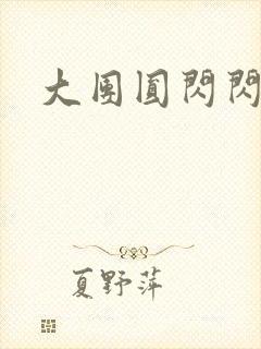 大团圆闪闪发光