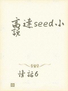 高达seed小说