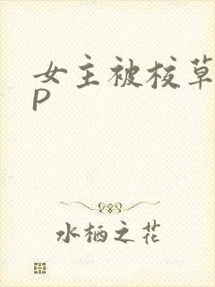 女主被校草们NP