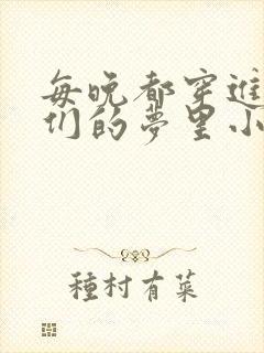 每晚都穿进男神们的梦里小说免费