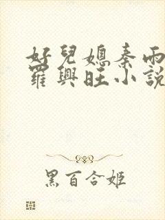 好儿媳秦雨罗明罗兴旺小说