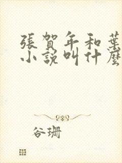 张贺年和叶繁姿小说叫什么名字