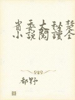 省委大秘楚东恒小说阅读全文