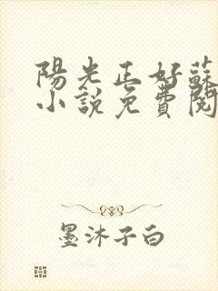 阳光正好苏玥玥小说免费阅读