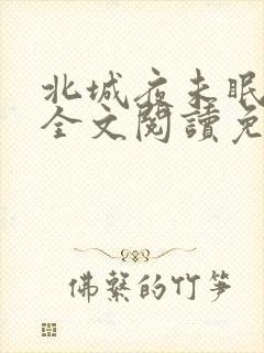 北城夜未眠小说全文阅读免费