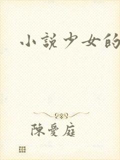 小说少女的心