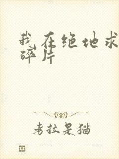 我在绝地求生捡碎片