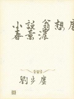 小说 翁想房中春意浓