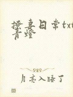 撩妻日常txt青灯