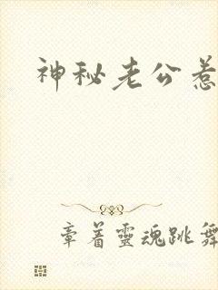 神秘老公惹不起