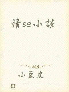 情se小说