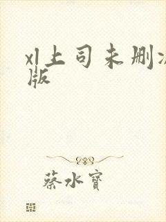 xl上司未删减版