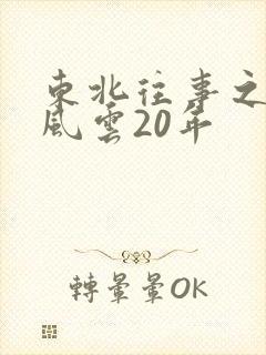 东北往事之黑道风云20年