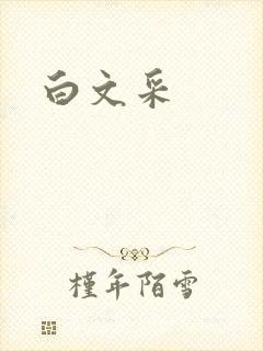白文采