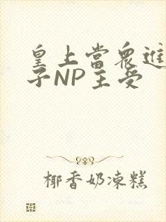 皇上当众进入太子NP主受