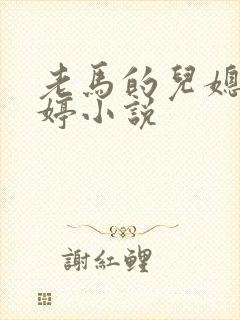 老马的儿媳顾婉婷小说