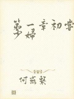 第一章初尝极品少妇