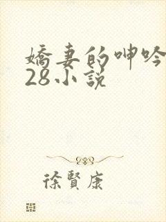 娇妻的呻吟1—28小说