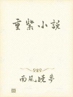 重紫小说