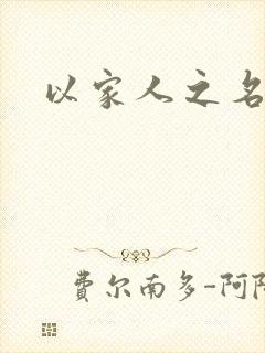 以家人之名小说