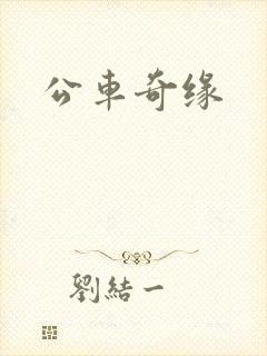公车奇缘