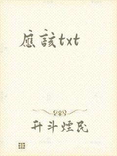 应该txt