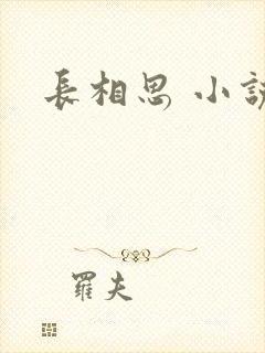 长相思 小说