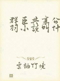 群臣共享公主银羽小说叫什么