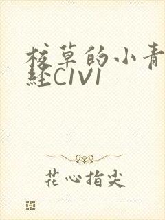 校草的小青梅不经C1V1