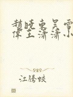 赵晓东吴雪晴郑伟王潇潇小说名字