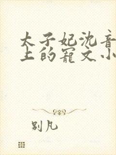 太子妃沈音和皇上的宠文小说