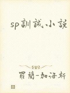 sp训诫小说