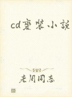 cd变装小说