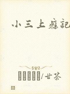 小三上瘾记