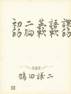 初二英语课代表的胸软软的