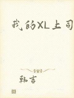 我的XL上司