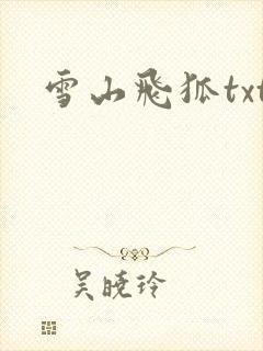 雪山飞狐txt