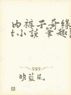 内裤子奇缘txt小说 笔趣阁