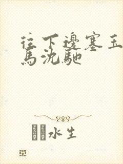 往下边塞玉器骑马沈驰