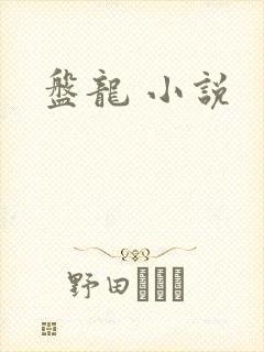 盘龙 小说