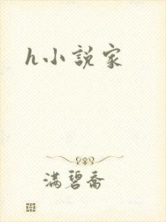 h小说家