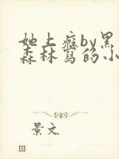 她上瘾by黑暗森林写的小说免费阅读无弹窗