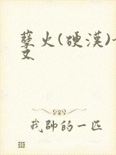 孽火(硬汉)今又