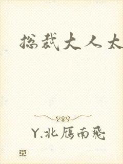 总裁大人太勇猛